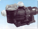 Sta_Rite_Dyna_Glas_Pump.jpg